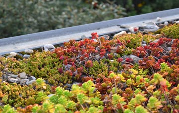 the cost of Hayden green roof installation