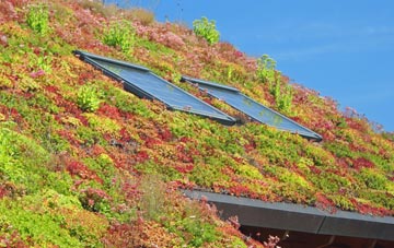 Hayden living roof systems
