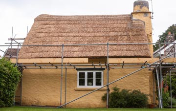 Hayden thatch roofing costs